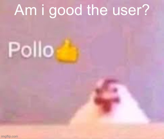 Am i good the user? | made w/ Imgflip meme maker