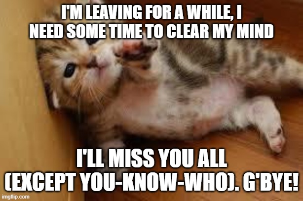 bye friends, and see you later! (or not) | I'M LEAVING FOR A WHILE, I NEED SOME TIME TO CLEAR MY MIND; I'LL MISS YOU ALL (EXCEPT YOU-KNOW-WHO). G'BYE! | image tagged in sad kitten goodbye | made w/ Imgflip meme maker