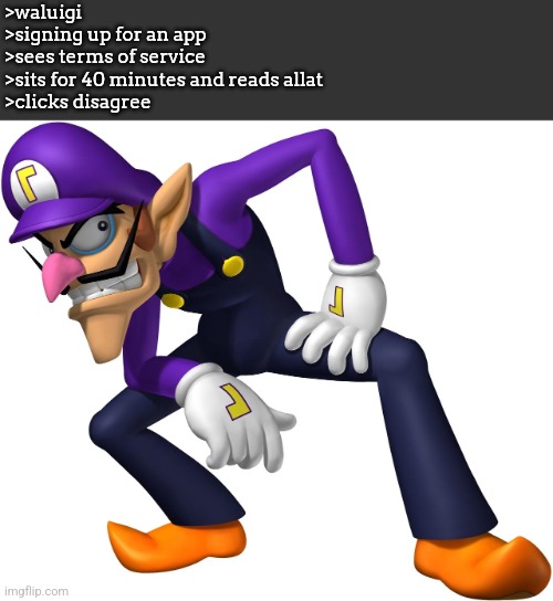 there is no title | >waluigi
>signing up for an app
>sees terms of service
>sits for 40 minutes and reads allat
>clicks disagree | image tagged in there is no tag | made w/ Imgflip meme maker