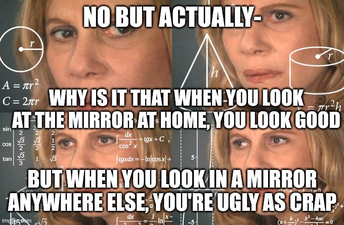 anyone else? | NO BUT ACTUALLY-; WHY IS IT THAT WHEN YOU LOOK AT THE MIRROR AT HOME, YOU LOOK GOOD; BUT WHEN YOU LOOK IN A MIRROR ANYWHERE ELSE, YOU'RE UGLY AS CRAP | image tagged in calculating meme | made w/ Imgflip meme maker