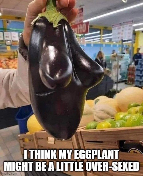 Eggplant | I THINK MY EGGPLANT MIGHT BE A LITTLE OVER-SEXED | image tagged in sex jokes | made w/ Imgflip meme maker