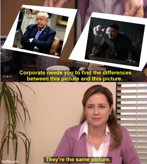 They're The Same Picture Meme | image tagged in memes,they're the same picture,trump,donald trump,game of thrones | made w/ Imgflip meme maker