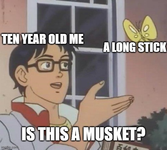 Is This A Pigeon | TEN YEAR OLD ME; A LONG STICK; IS THIS A MUSKET? | image tagged in memes,is this a pigeon | made w/ Imgflip meme maker