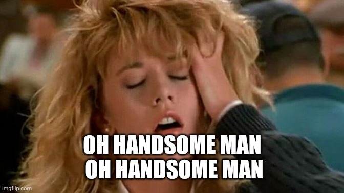 Meg Ryan | OH HANDSOME MAN
  OH HANDSOME MAN | image tagged in meg ryan | made w/ Imgflip meme maker