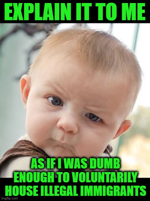 When I'm Confused | EXPLAIN IT TO ME; AS IF I WAS DUMB ENOUGH TO VOLUNTARILY HOUSE ILLEGAL IMMIGRANTS | image tagged in memes,skeptical baby | made w/ Imgflip meme maker