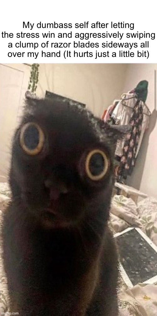 My dumbass self after letting the stress win and aggressively swiping a clump of razor blades sideways all over my hand (It hurts just a little bit) | made w/ Imgflip meme maker