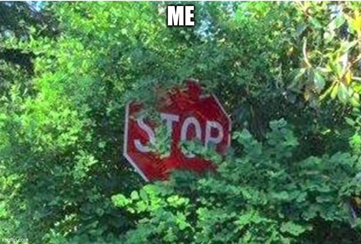 Stop Sign Behind Bushes | ME | image tagged in stop sign behind bushes | made w/ Imgflip meme maker