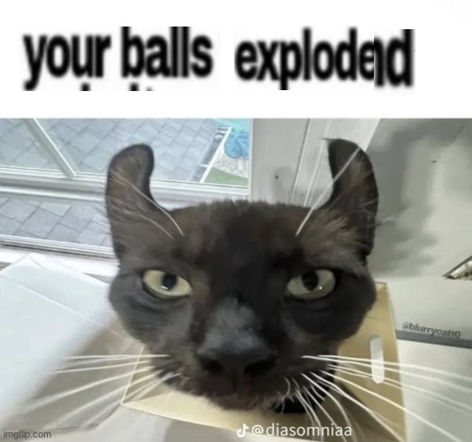 explodes your balls with my mind | image tagged in explodes your balls with my mind | made w/ Imgflip meme maker