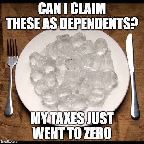 family of 40, tax free, dependents for life | CAN I CLAIM THESE AS DEPENDENTS? MY TAXES JUST WENT TO ZERO | image tagged in plate of ice cubes | made w/ Imgflip meme maker