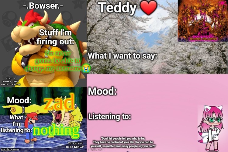 Bowser and Teddy's shared announcement temp | i'm never gonna be able to change my username😭; zad; nothing | image tagged in bowser and teddy's shared announcement temp | made w/ Imgflip meme maker