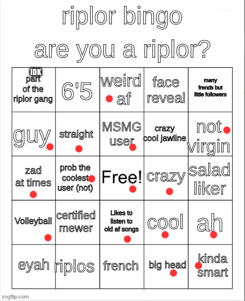 riplor bingo | IDK | image tagged in riplor bingo | made w/ Imgflip meme maker