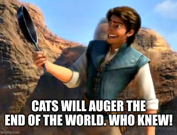Frying pans!  Who knew?  Tangled | CATS WILL AUGER THE END OF THE WORLD. WHO KNEW! | image tagged in frying pans who knew tangled | made w/ Imgflip meme maker