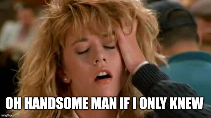 Meg Ryan | OH HANDSOME MAN IF I ONLY KNEW | image tagged in meg ryan | made w/ Imgflip meme maker