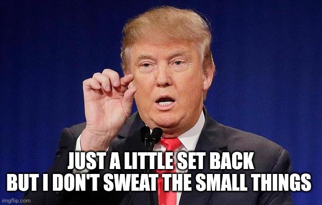 Trump Small Fingers | JUST A LITTLE SET BACK
BUT I DON'T SWEAT THE SMALL THINGS | image tagged in trump small fingers | made w/ Imgflip meme maker