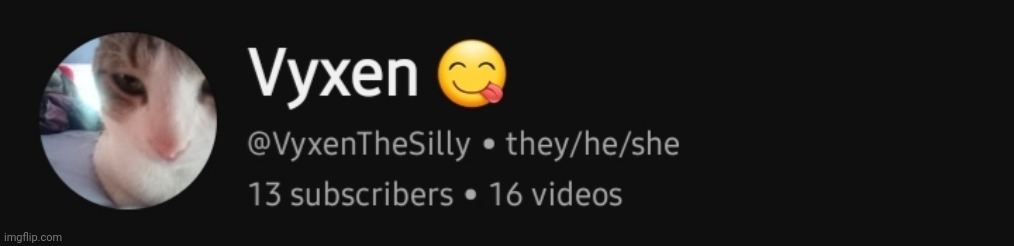 SUBSCRIBE TO THE SILLY (her stuff is actually pretty good!) | made w/ Imgflip meme maker