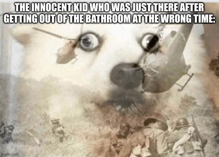 PTSD dog | THE INNOCENT KID WHO WAS JUST THERE AFTER GETTING OUT OF THE BATHROOM AT THE WRONG TIME: | image tagged in ptsd dog | made w/ Imgflip meme maker
