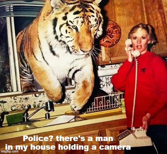 Police? there's a man in my house holding a camera | image tagged in funny | made w/ Imgflip meme maker