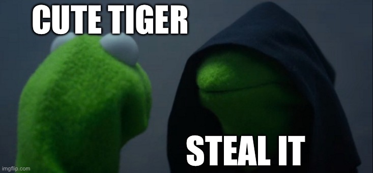 Evil Kermit Meme | CUTE TIGER STEAL IT | image tagged in memes,evil kermit | made w/ Imgflip meme maker