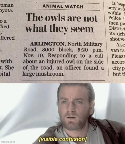 Magic owls | image tagged in visible confusion,stupid people,you had one job | made w/ Imgflip meme maker