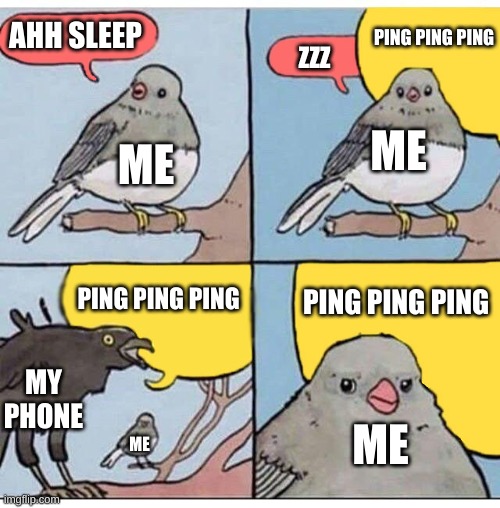 WHY? | AHH SLEEP; PING PING PING; ZZZ; ME; ME; PING PING PING; PING PING PING; MY PHONE; ME; ME | image tagged in annoyed bird,sleep,phone,notifications,lol | made w/ Imgflip meme maker