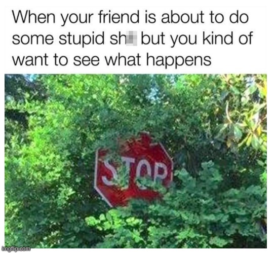 I kinda do this a lot | image tagged in stop,meme,funny,stop sign,why are you reading the tags,stop reading the tags | made w/ Imgflip meme maker