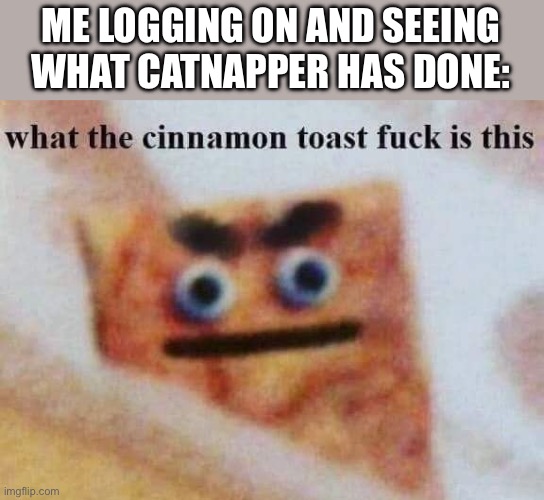 what the cinnamon toast f^%$ is this | ME LOGGING ON AND SEEING WHAT CATNAPPER HAS DONE: | image tagged in what the cinnamon toast f is this | made w/ Imgflip meme maker