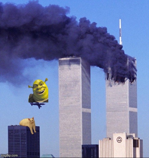 Twin towers and cat | image tagged in twin towers and cat | made w/ Imgflip meme maker