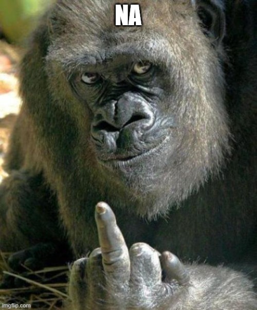 gorilla middle finger | NA | image tagged in gorilla middle finger | made w/ Imgflip meme maker