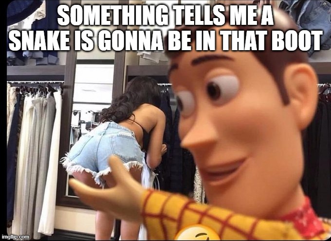 Woody | SOMETHING TELLS ME A SNAKE IS GONNA BE IN THAT BOOT | image tagged in sex jokes | made w/ Imgflip meme maker