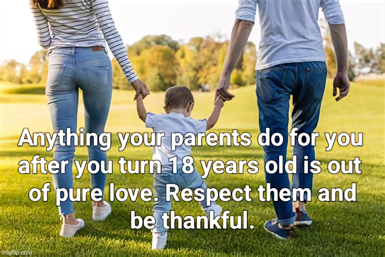 Respect your parents... | image tagged in parenting | made w/ Imgflip meme maker