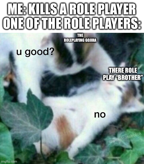 You can’t tell me that this has happened to you guys before | ME: KILLS A ROLE PLAYER
ONE OF THE ROLE PLAYERS:; THE ROLEPLAYING GOJIRA; THERE ROLE PLAY “BROTHER” | image tagged in u good no,kaiju universe | made w/ Imgflip meme maker