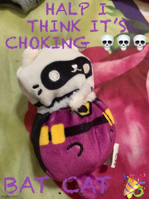 HALP I THINK IT’S CHOKING 💀💀💀; BAT CAT 🎉 | image tagged in wowzers | made w/ Imgflip meme maker