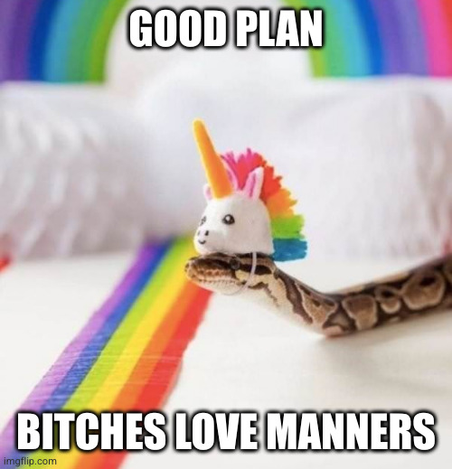 snake rainbow unicorn head | GOOD PLAN BITCHES LOVE MANNERS | image tagged in snake rainbow unicorn head | made w/ Imgflip meme maker
