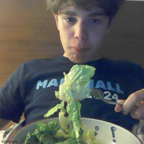 i eat zalad i think life is alitle beter than earlier | made w/ Imgflip meme maker