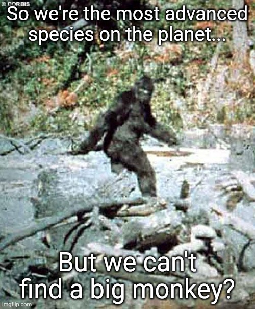 Bigfoot | So we're the most advanced species on the planet... But we can't find a big monkey? | image tagged in bigfoot | made w/ Imgflip meme maker