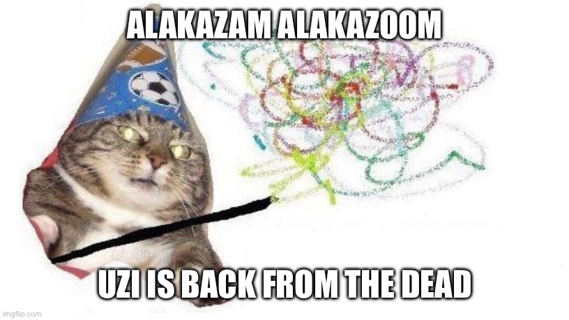 Wizard Cat | ALAKAZAM ALAKAZOOM UZI IS BACK FROM THE DEAD | image tagged in wizard cat | made w/ Imgflip meme maker