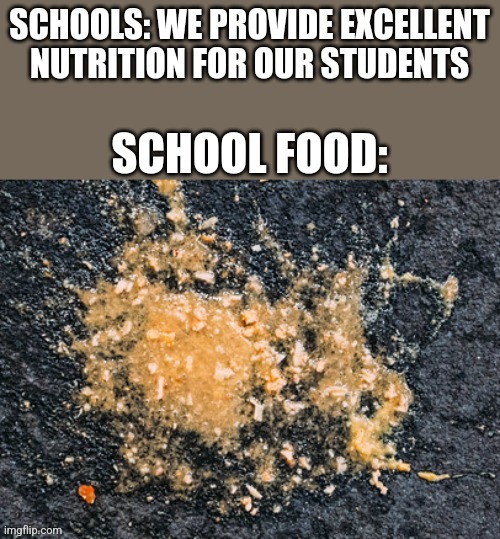 i sometimes question if school food is even real food | made w/ Imgflip meme maker
