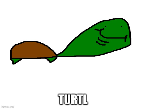 Turtl | TURTL | image tagged in turtle,funny,stupid | made w/ Imgflip meme maker