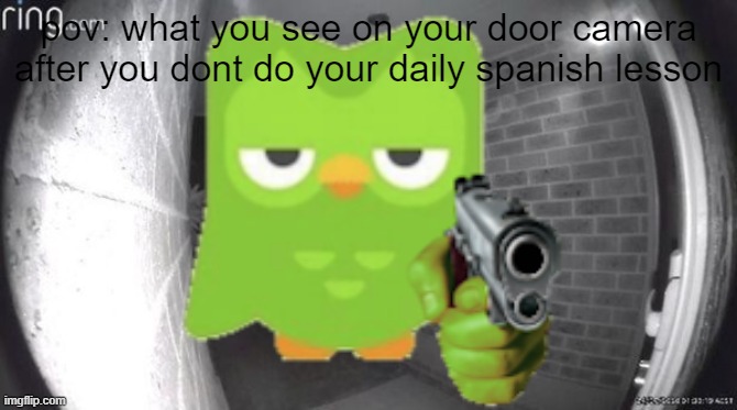 spanish or vanish! :) | pov: what you see on your door camera after you dont do your daily spanish lesson | image tagged in door camera,spanish or vanish,duolingo | made w/ Imgflip meme maker