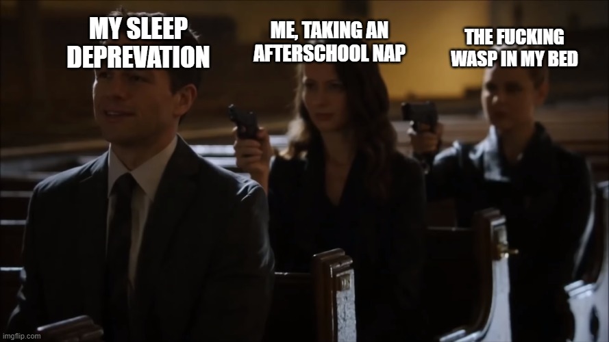 Average afterschool nap | MY SLEEP DEPREVATION; ME, TAKING AN AFTERSCHOOL NAP; THE FUCKING WASP IN MY BED | image tagged in church gun meme,wasp,school,nap,sleep,sleep deprivation creations | made w/ Imgflip meme maker