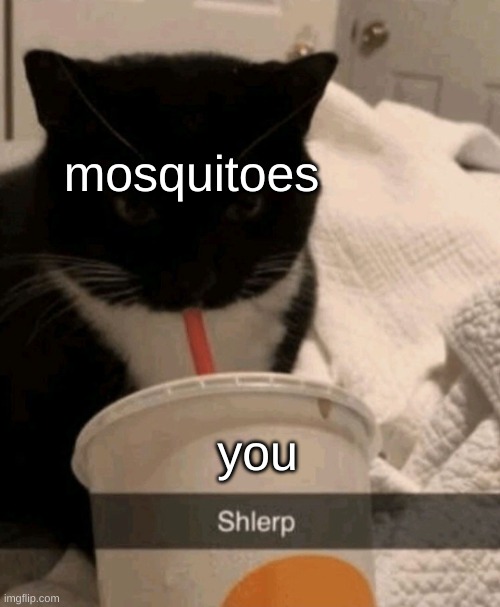 Shlerp | mosquitoes you | image tagged in shlerp | made w/ Imgflip meme maker