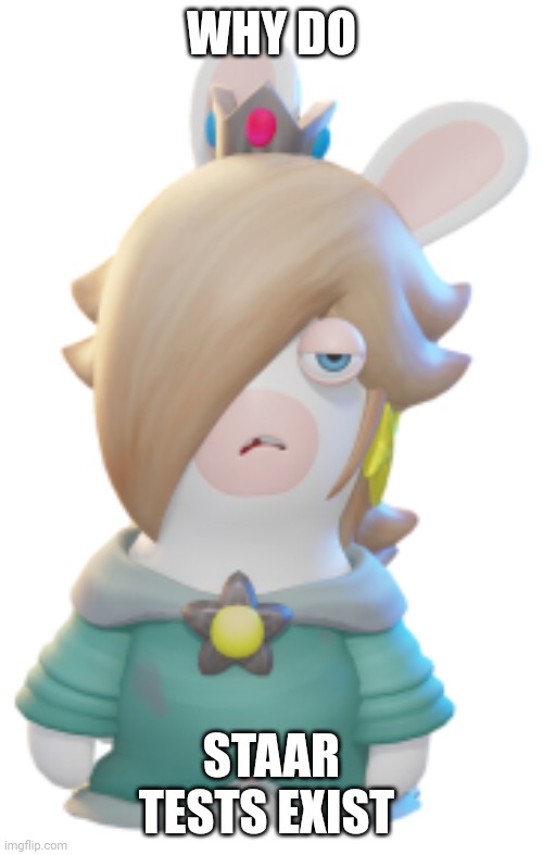 Rabbid Rosalina's question of the day | WHY DO; STAAR TESTS EXIST | image tagged in rabbid rosalina 2 | made w/ Imgflip meme maker