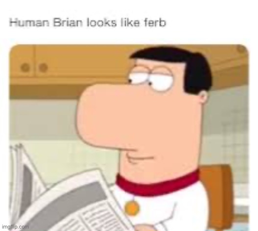 image tagged in family guy | made w/ Imgflip meme maker