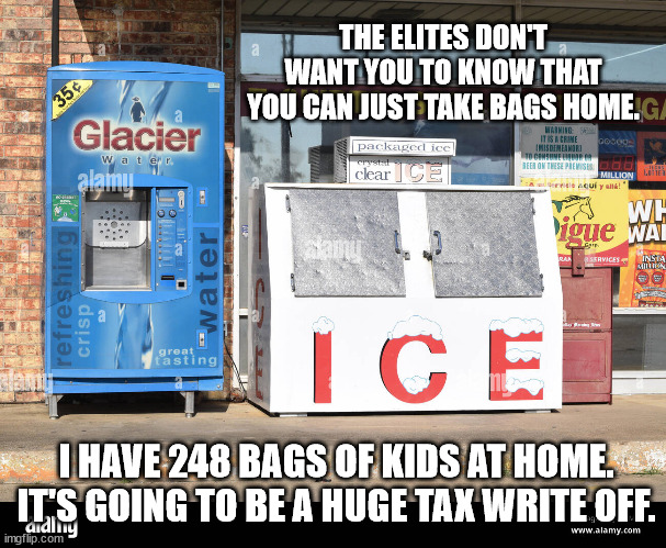THE ELITES DON'T WANT YOU TO KNOW THAT YOU CAN JUST TAKE BAGS HOME. I HAVE 248 BAGS OF KIDS AT HOME. IT'S GOING TO BE A HUGE TAX WRITE OFF. | made w/ Imgflip meme maker