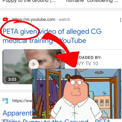 image tagged in family guy | made w/ Imgflip meme maker