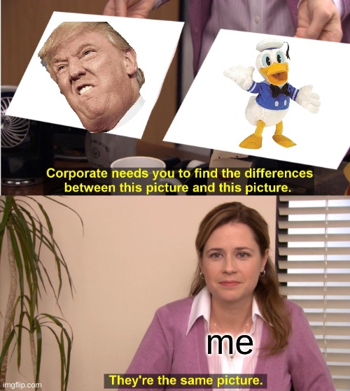 they are | me | image tagged in memes,they're the same picture,donald trump,donald ducc | made w/ Imgflip meme maker