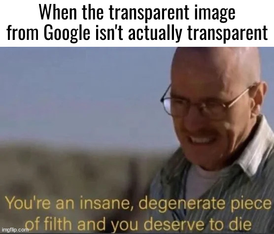 You're an insane, degenerate piece of filth | When the transparent image from Google isn't actually transparent | image tagged in you're an insane degenerate piece of filfth | made w/ Imgflip meme maker