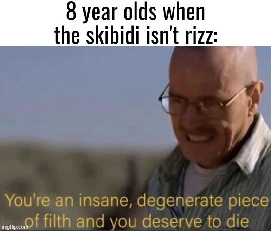 You're an insane, degenerate piece of filth | 8 year olds when the skibidi isn't rizz: | image tagged in you're an insane degenerate piece of filfth | made w/ Imgflip meme maker