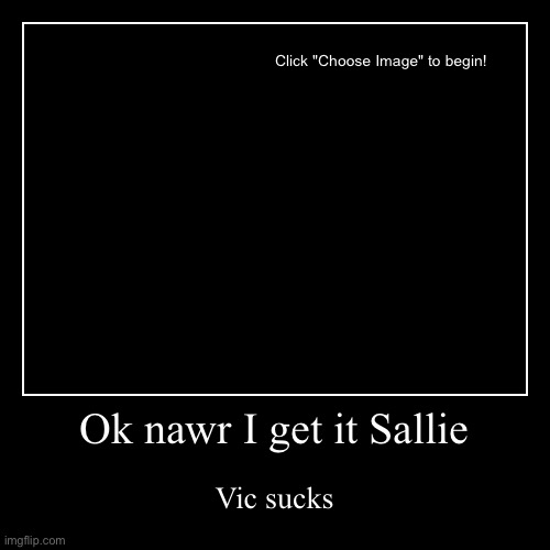 Ok nawr I get it Sallie | Vic sucks | image tagged in funny,demotivationals | made w/ Imgflip demotivational maker