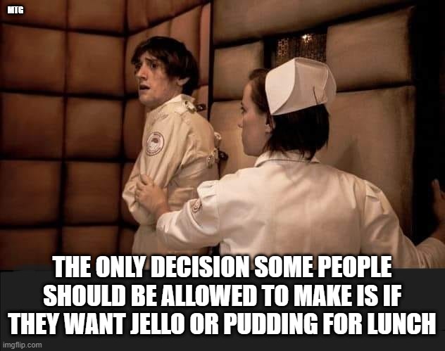 Some people | MTG; THE ONLY DECISION SOME PEOPLE SHOULD BE ALLOWED TO MAKE IS IF THEY WANT JELLO OR PUDDING FOR LUNCH | image tagged in funny | made w/ Imgflip meme maker